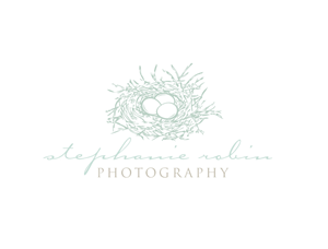 Logo Design by DezignFreak for Stephanie Robin Photography & Design | Design: #3291068