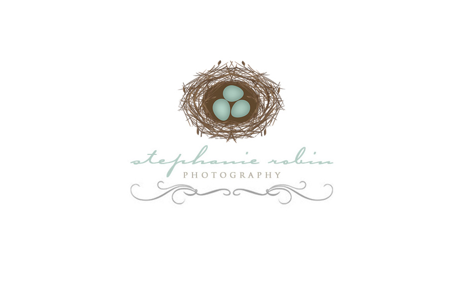 Logo Design by Niki S. for Stephanie Robin Photography & Design | Design #3269525
