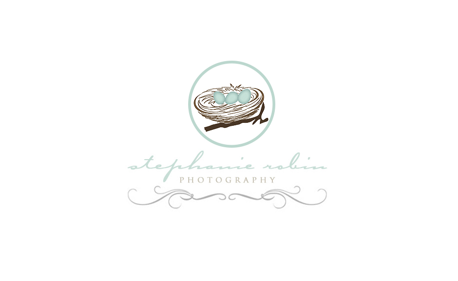 Logo Design by Niki S. for Stephanie Robin Photography & Design | Design #3269530