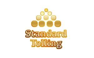 Logo Design by steinism
