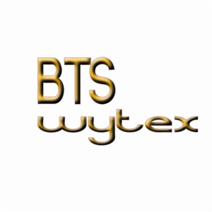 Diseño de Logo por bravel design para este proyecto | Diseño: #3274474