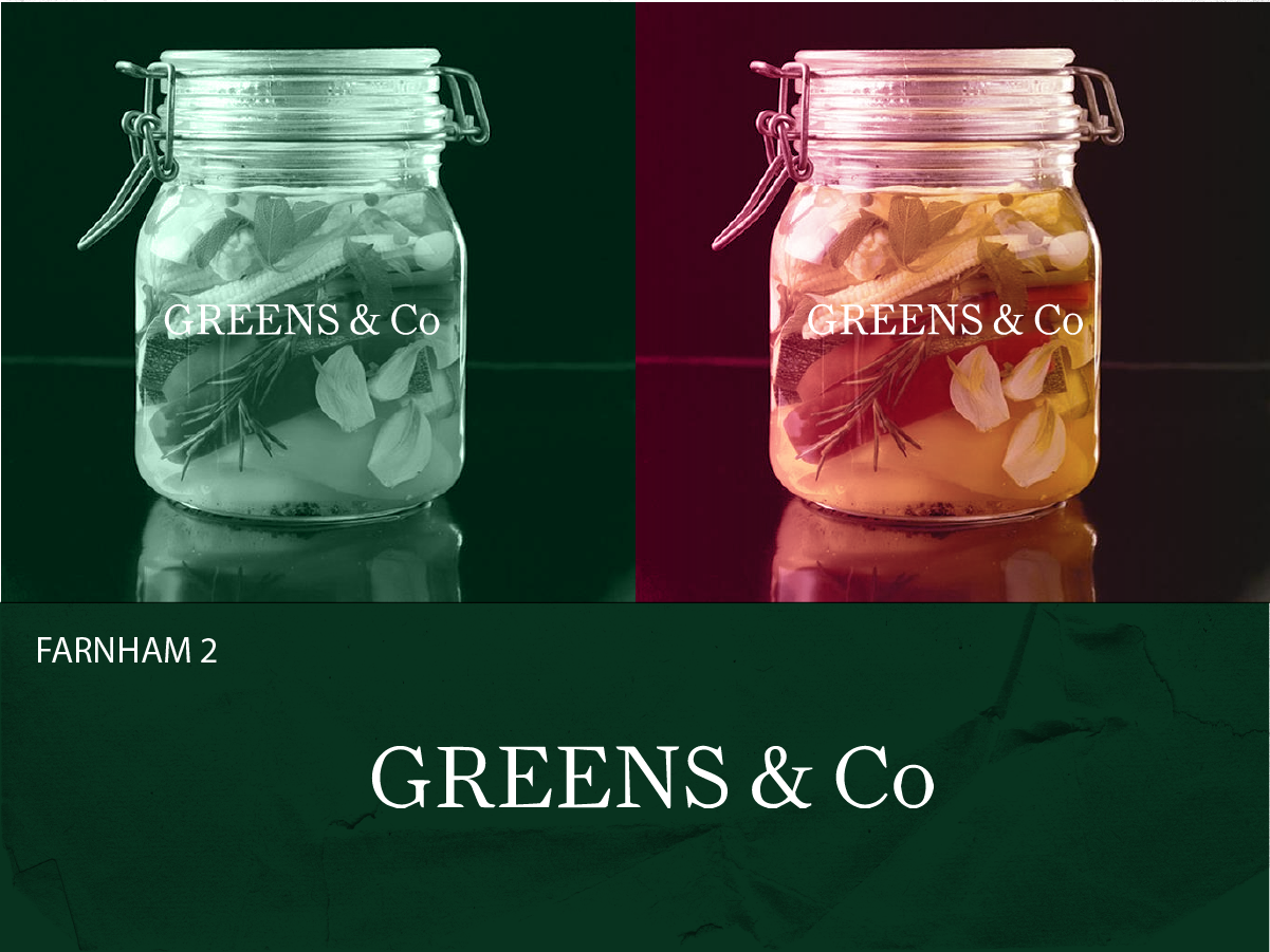 Logo Design by keudr for Greens & Company Foods Ltd | Design #3262552