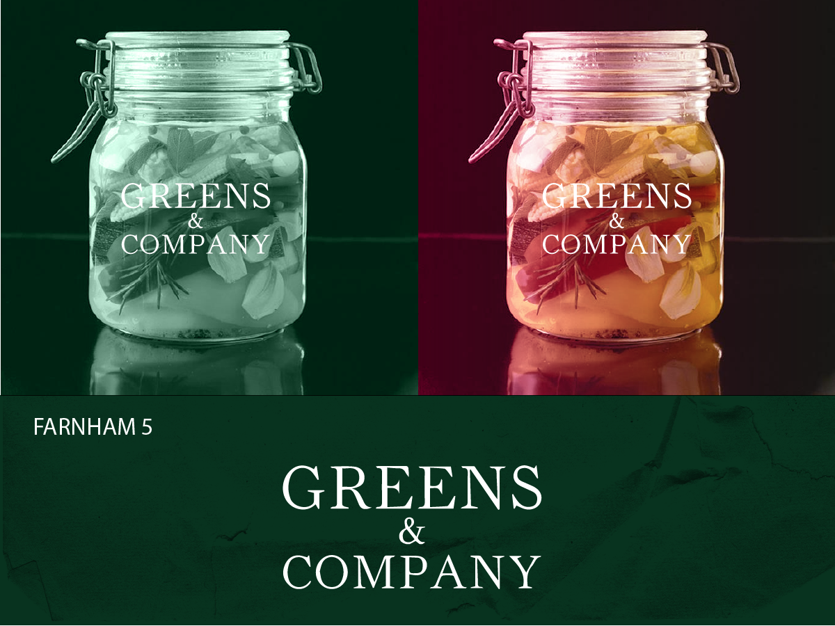 Logo Design by keudr for Greens & Company Foods Ltd | Design #3284225