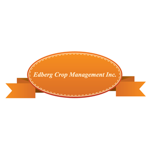 Logo Design by Aras