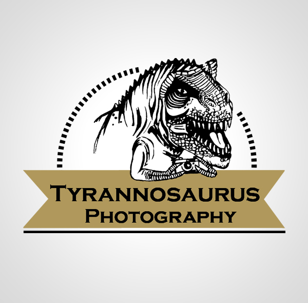 Logo Design by Veronica Dan for this project | Design #3280393