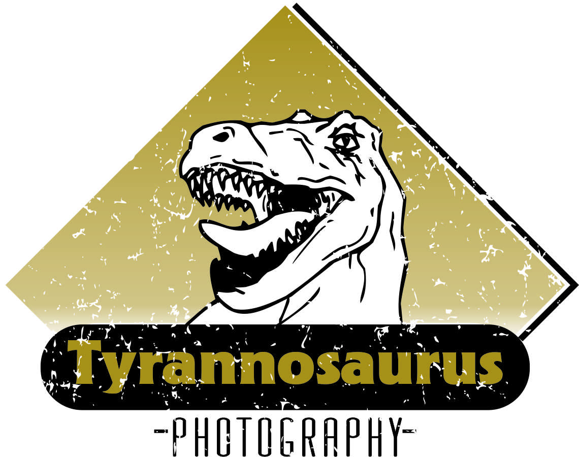 Diseño de Logo por Ryan Goodin para este proyecto | Diseño #3228292