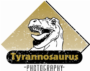 Logo Design by Ryan Goodin for this project | Design: #3228292
