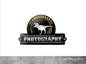 Logo Design by vladst2004