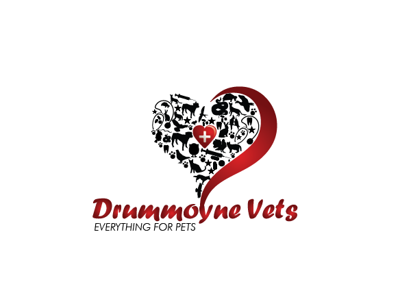 Logo Design by Gaia Creative for Drummoyne Vets | Design #787228