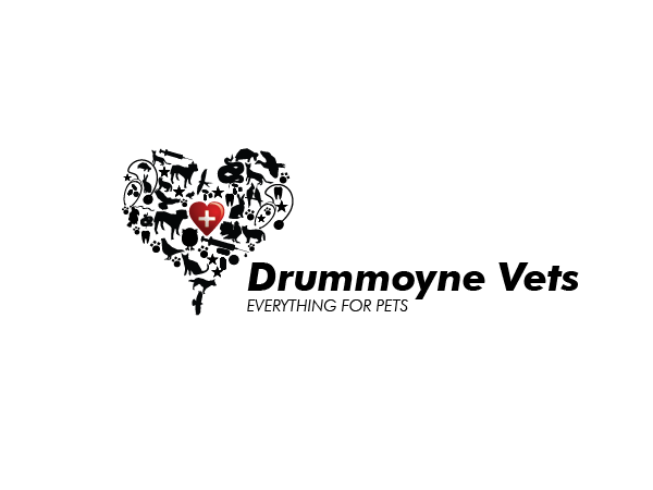 Logo Design by Gaia Creative for Drummoyne Vets | Design #787230