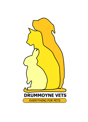 Logo Design by TANE for Drummoyne Vets | Design: #796771