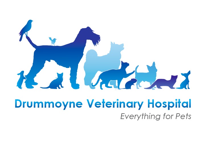 Logo Design by The Bold Circle for Drummoyne Vets | Design #818151