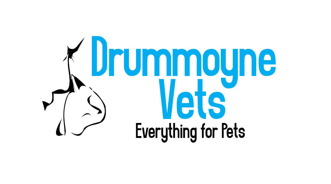 Logo-Design von Mudboots für Drummoyne Vets | Design #790253