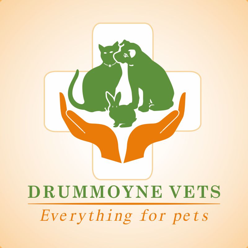 Logo Design by Via design for Drummoyne Vets | Design #793778