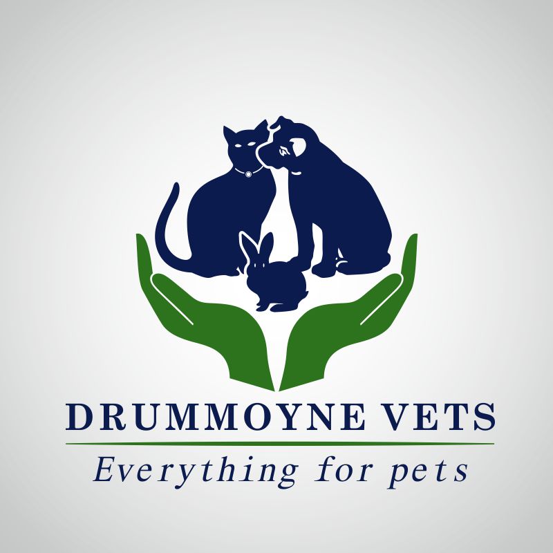 Logo Design by Via design for Drummoyne Vets | Design #793781