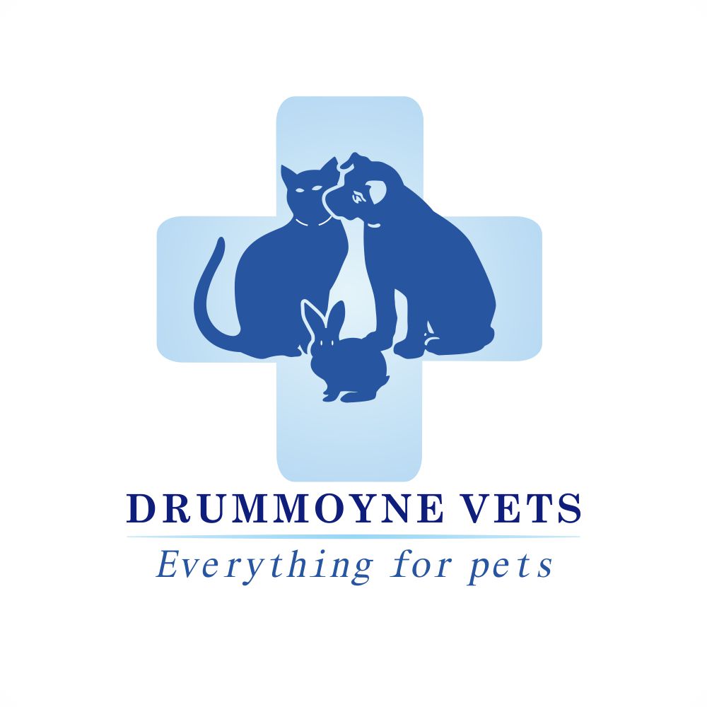Logo Design by Via design for Drummoyne Vets | Design #816558