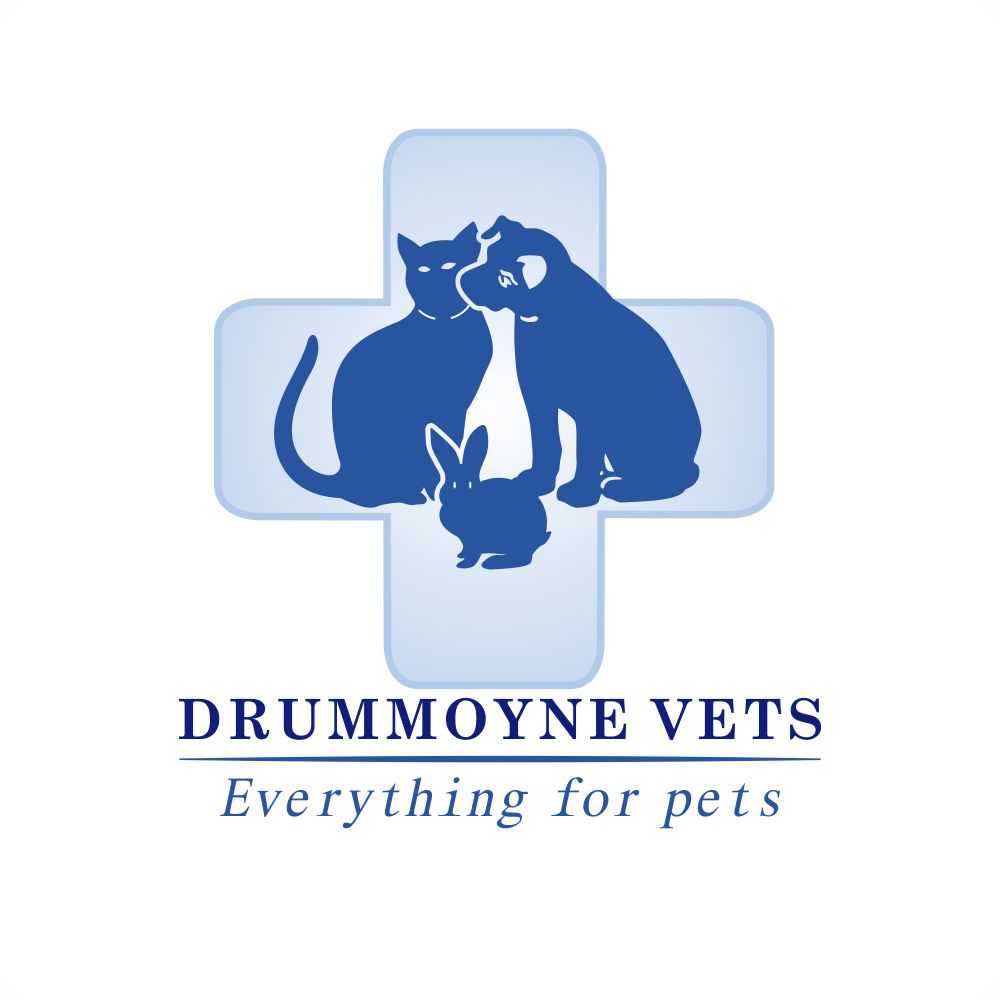 Logo Design by Via design for Drummoyne Vets | Design #816559