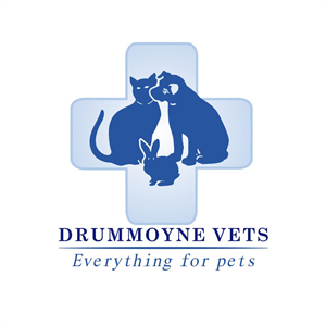 Logo Design by Via design for Drummoyne Vets | Design: #816559
