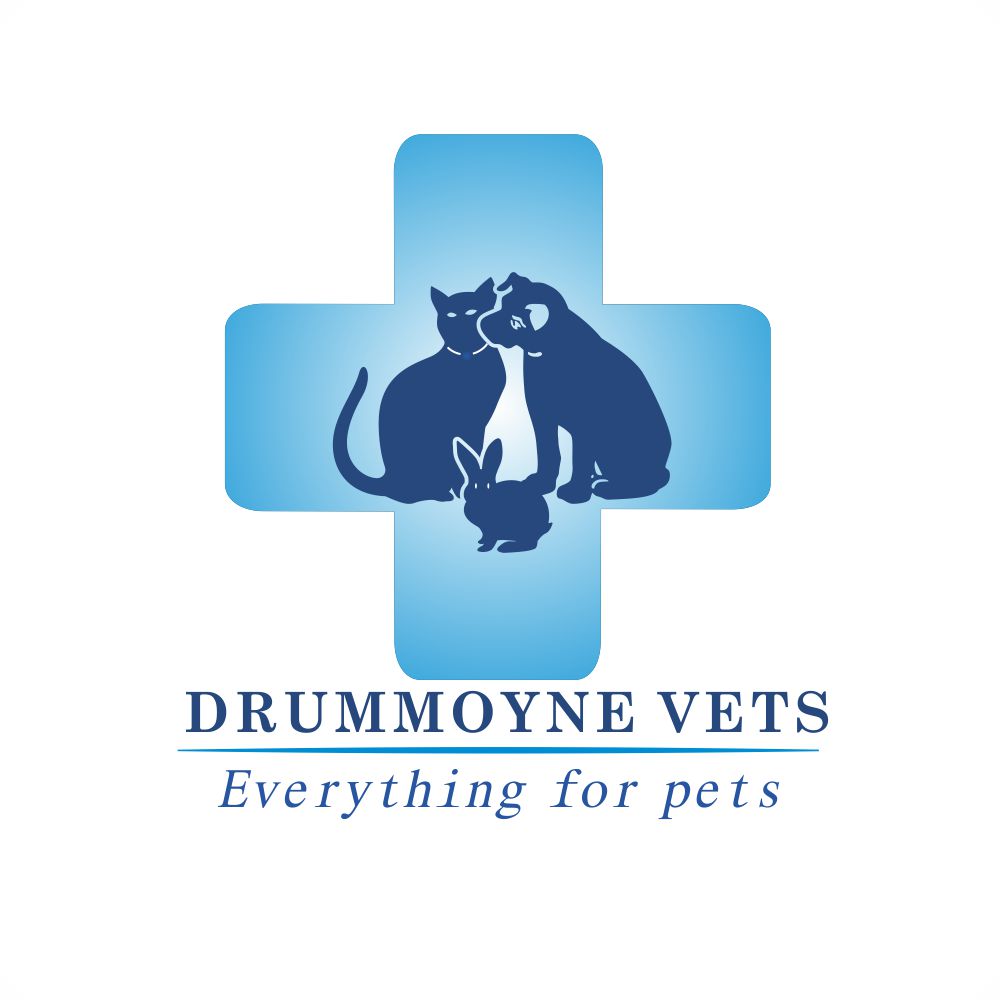 Logo Design by Via design for Drummoyne Vets | Design #816645