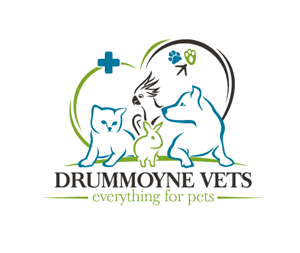 Logo Design by yourdesigns