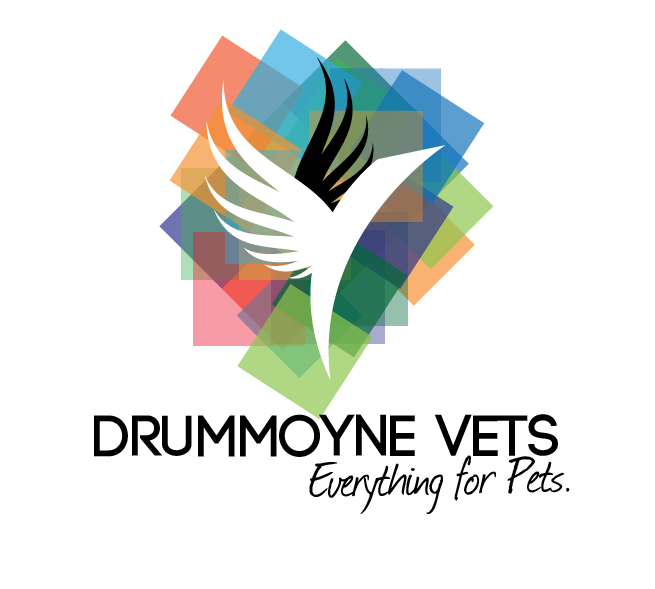 Logo Design by phrank for Drummoyne Vets | Design #796572