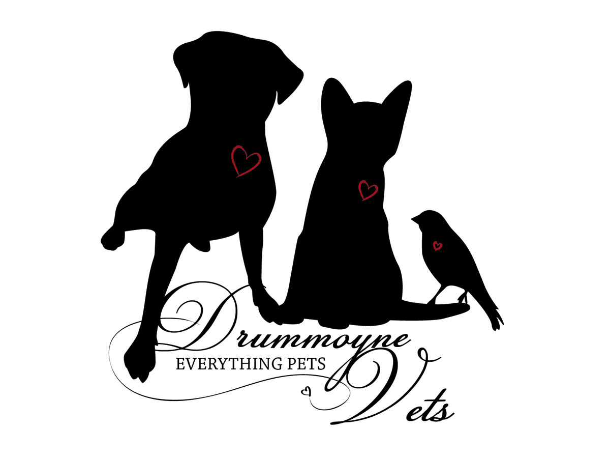 Diseño de Logo por Bella Designs para Drummoyne Vets | Diseño #797104