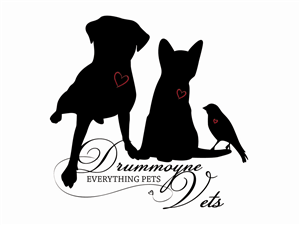 Logo Design by Bella Designs