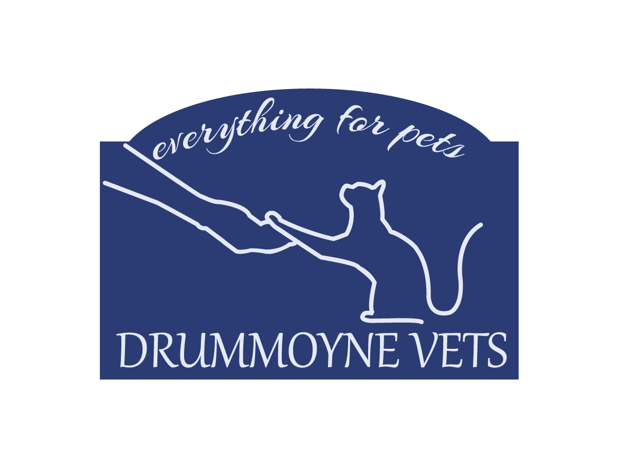 Logo Design by LD designs for Drummoyne Vets | Design #806318