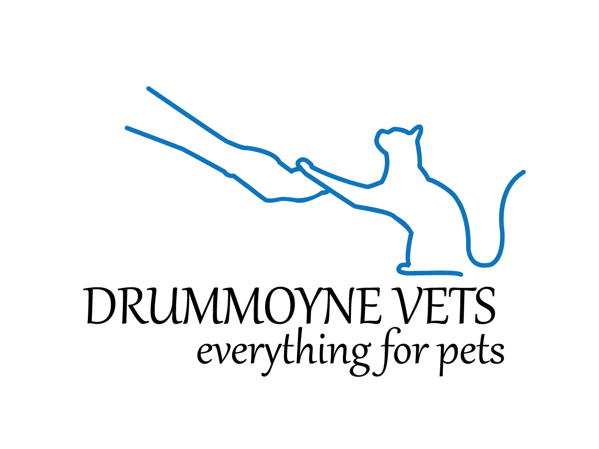 Logo Design by LD designs for Drummoyne Vets | Design #806323