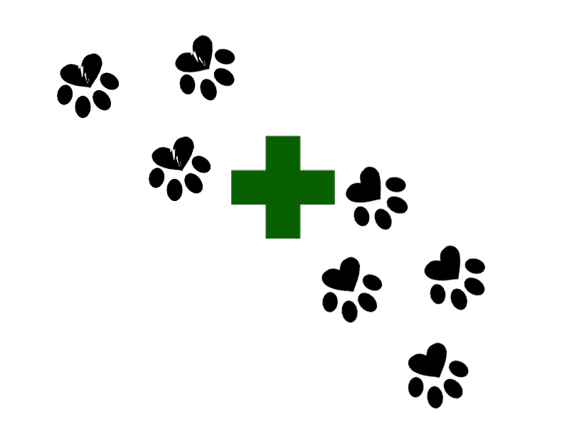 Logo Design by Diegofm for Drummoyne Vets | Design #798270