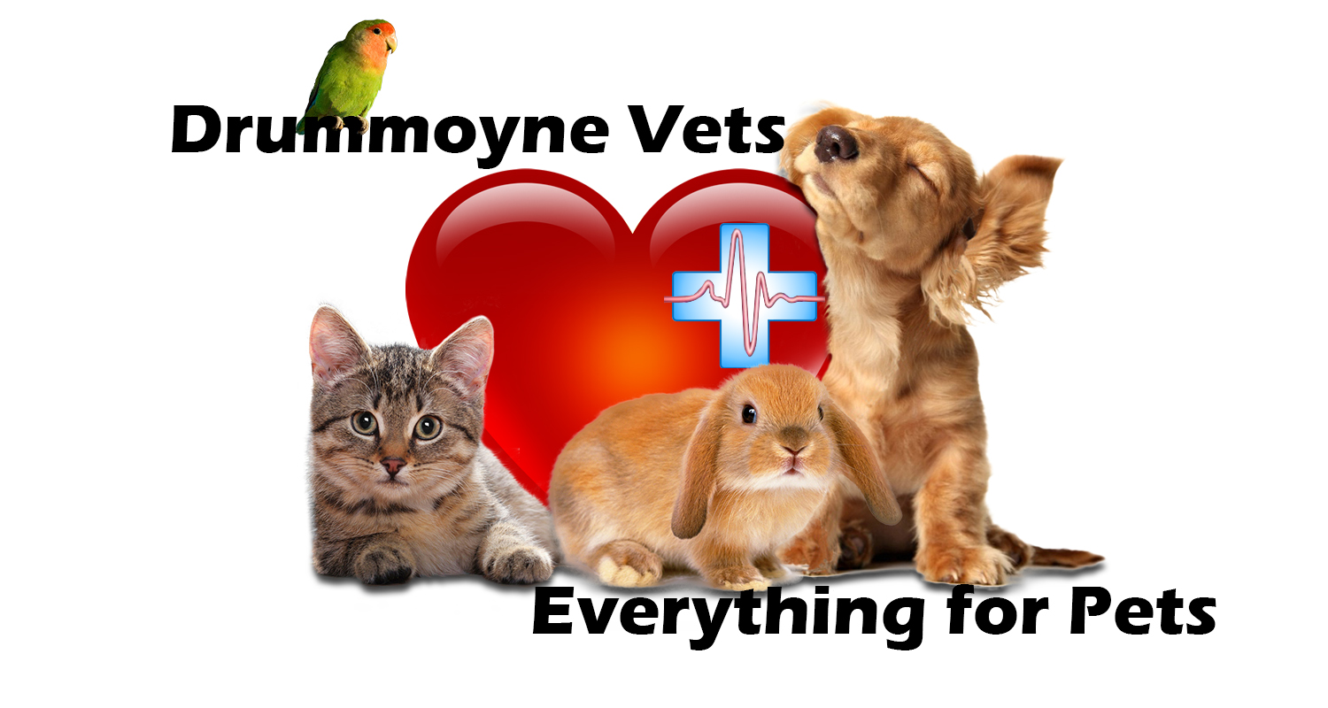 Logo-Design von Antonio für Drummoyne Vets | Design #803381