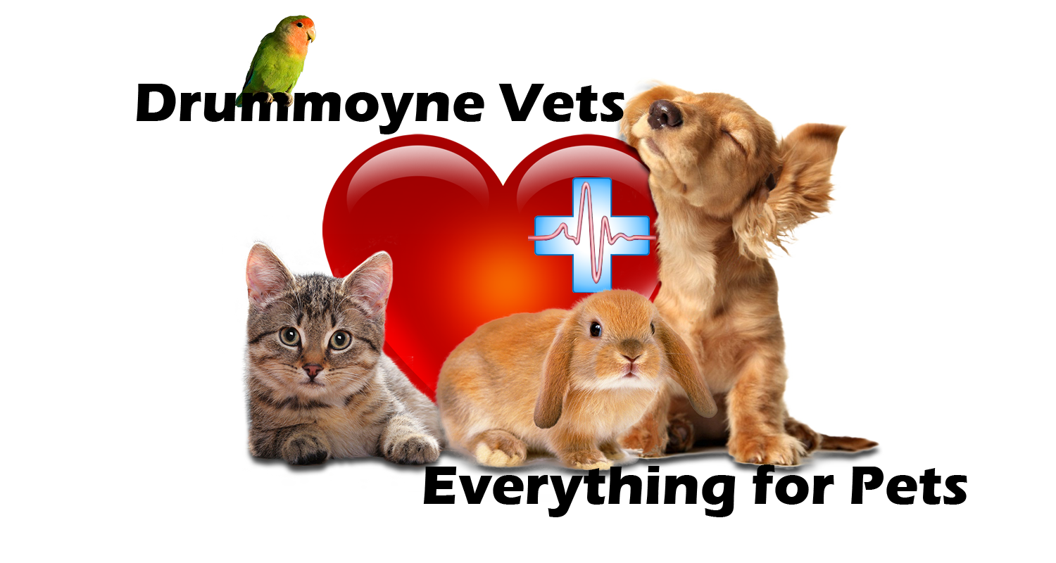 Logo-Design von Antonio für Drummoyne Vets | Design #803382