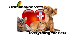 Logo Design by Antonio for Drummoyne Vets | Design: #803382