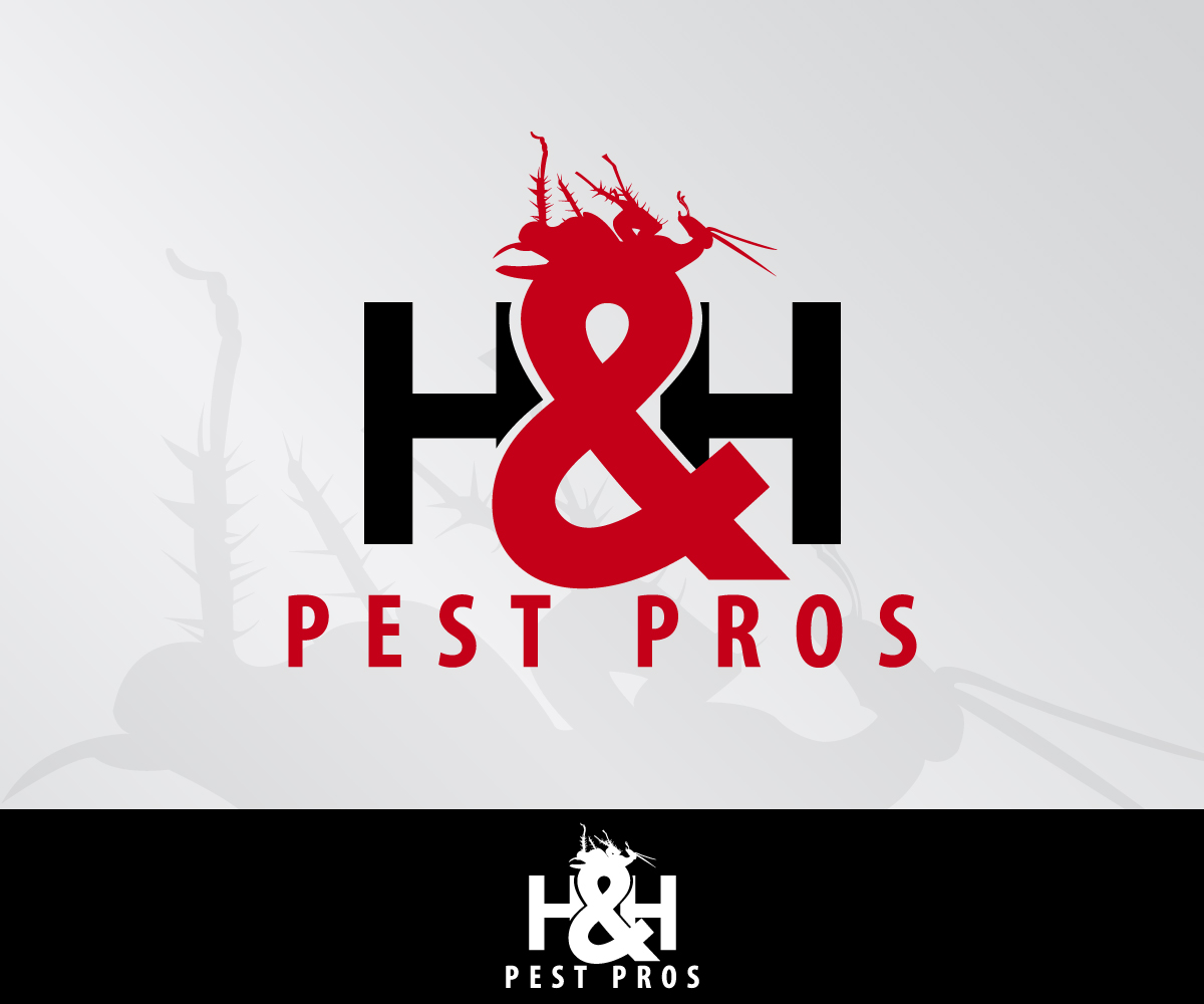 Logo Design by Motionblur Grafix for this project | Design #3247850