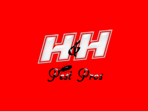 Logo Design by Aijaz Hayat for this project | Design #3289827
