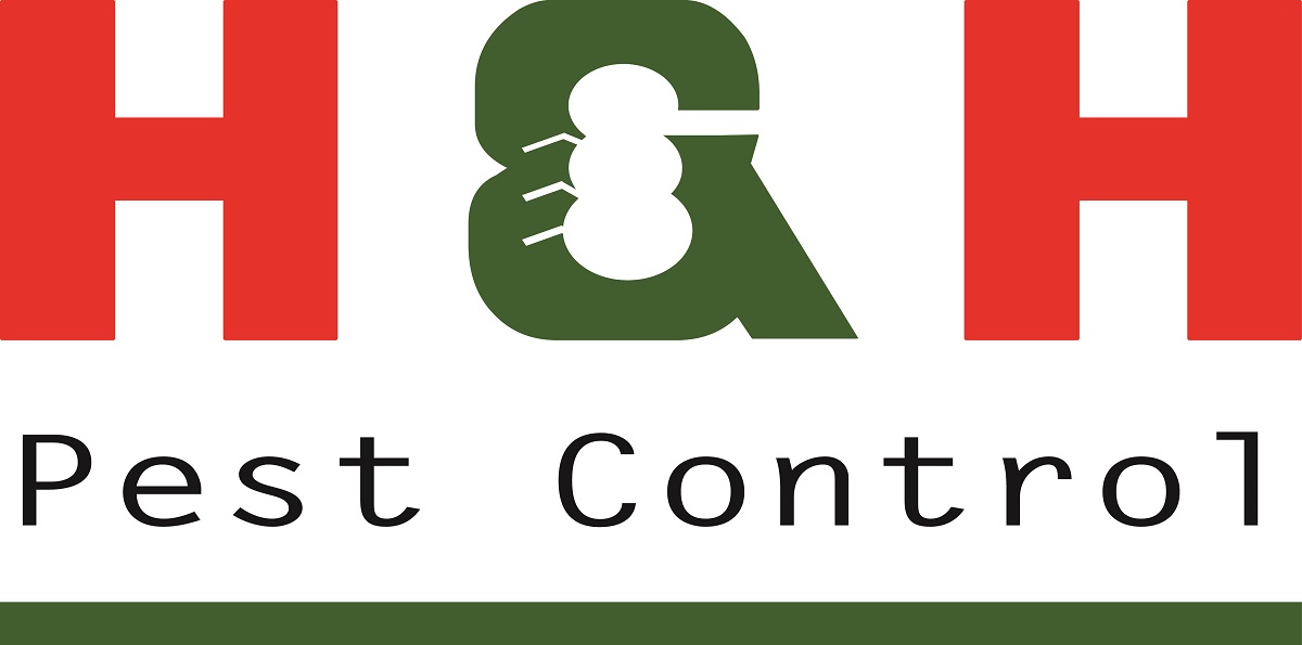 Logo-Design von Anina für dieses Projekt | Design #3276881