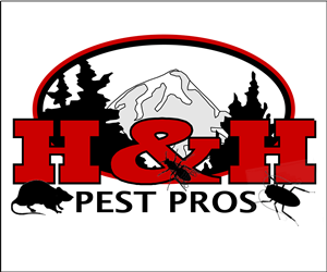 Logo Design by Ken Bradford