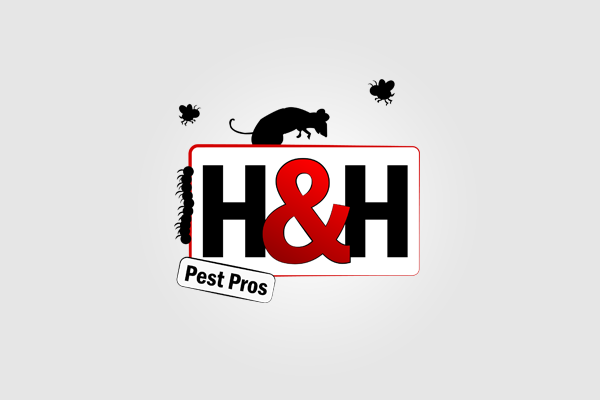 Logo-Design von Denis Brzozowski für dieses Projekt | Design #3248256