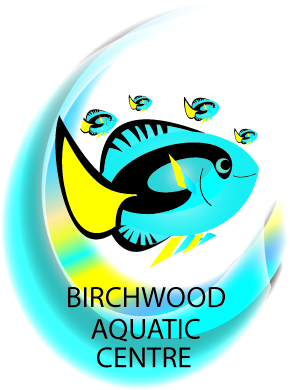 Design de Logo par RoderikHigh pour ce projet | Design #812531