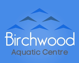 Logo Design by Modine Designs