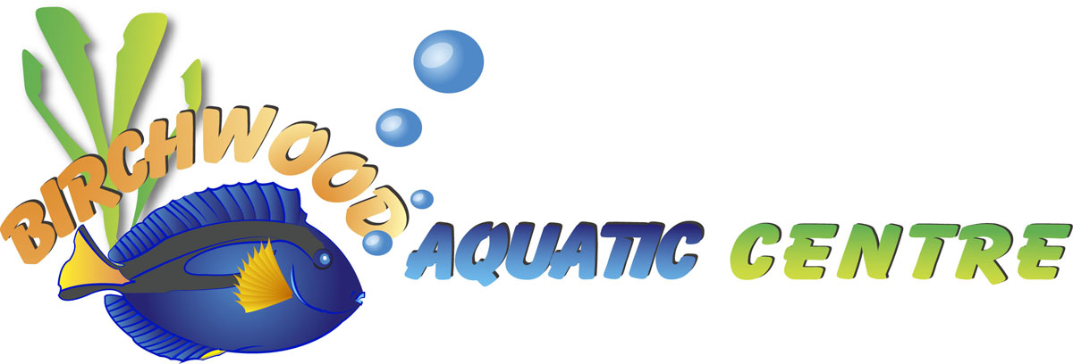 Logo Design by como for this project | Design #815476