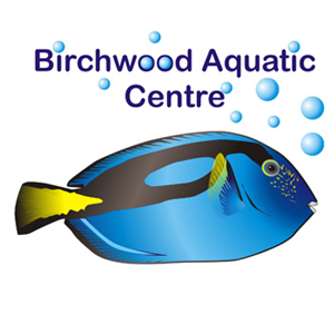 Logo Design by avital for this project | Design: #813483