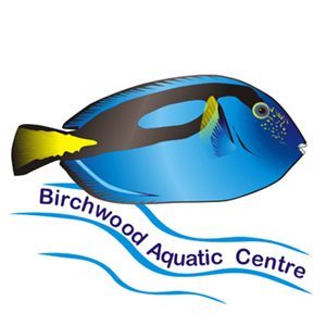 Logo Design by avital for this project | Design: #813492