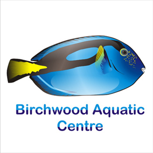 Logo Design by avital for this project | Design: #813499