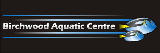 Logo Design by avital for this project | Design #814215