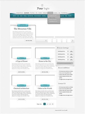 Web Design by shahbaz shaukat