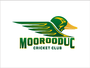 Cricket club requires a new proud logo.