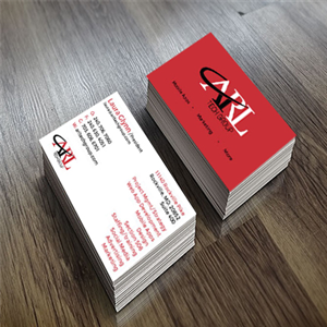 Business Card Design by alexusdesigns