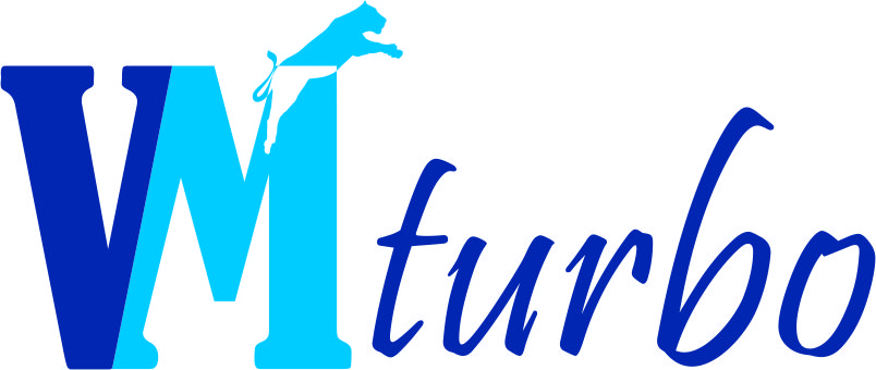 Logo-Design von HAWAI ZAHAZ für VMTurbo | Design #3241817