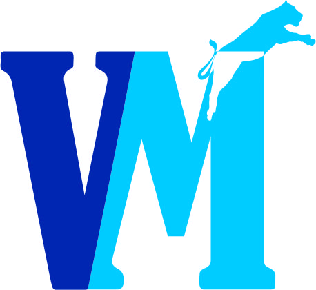 Logo Design by HAWAI ZAHAZ for VMTurbo | Design #3241828